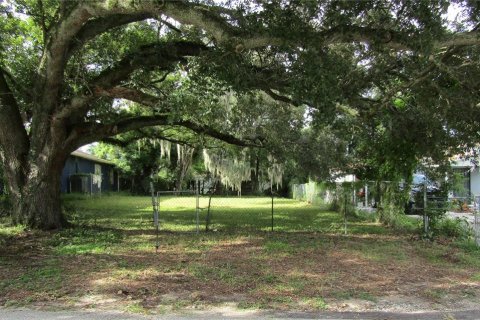 Terreno en venta en Tampa, Florida № 1354247 - foto 1