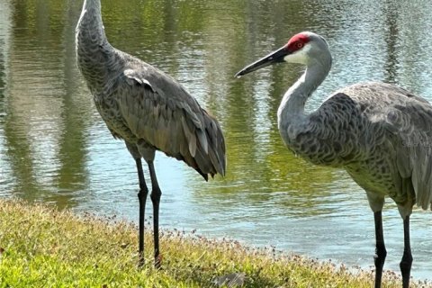 Land in Okeechobee, Florida № 1274816 - photo 23