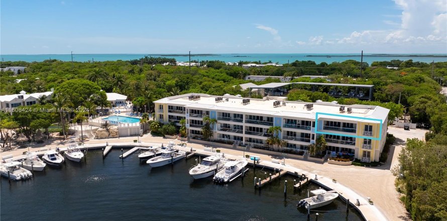 Condo à Key Largo, Floride, 4 chambres  № 1237666