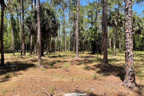 Terrain à vendre à Loxahatchee Groves, Floride № 1121123 - photo 4