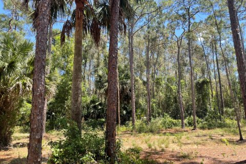 Terrain à vendre à Loxahatchee Groves, Floride № 1121123 - photo 1