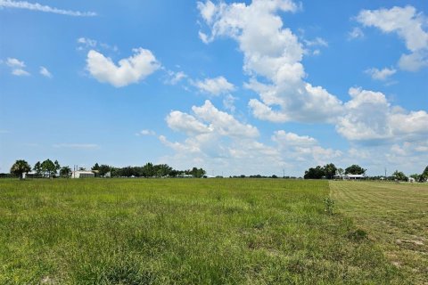 Terrain à vendre à Arcadia, Floride № 1356565 - photo 5