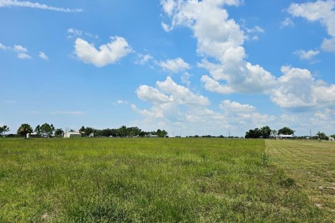 Terrain à vendre à Arcadia, Floride № 1356565 - photo 6