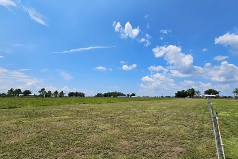 Land in Arcadia, Florida № 1356565 - photo 2