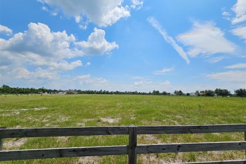 Land in Arcadia, Florida № 1356565 - photo 7