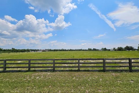 Land in Arcadia, Florida № 1356565 - photo 9