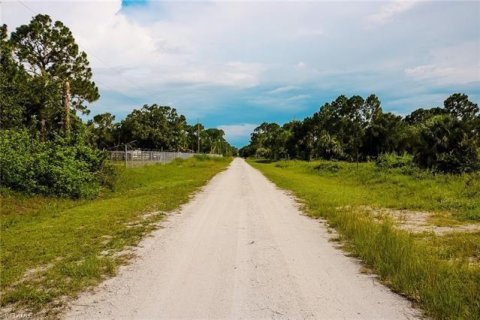 Land in Clewiston, Florida № 1136411 - photo 2