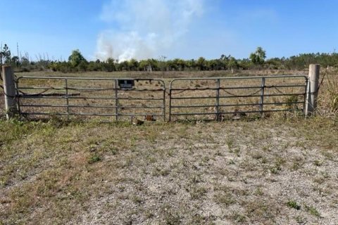 Terrain à vendre à Punta Gorda, Floride № 825966 - photo 6