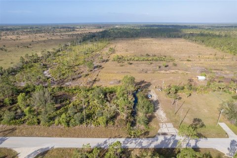 Terrain à vendre à Punta Gorda, Floride № 825966 - photo 16