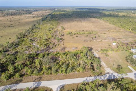 Terrain à vendre à Punta Gorda, Floride № 825966 - photo 17