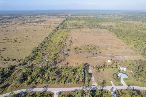 Terrain à vendre à Punta Gorda, Floride № 825966 - photo 27