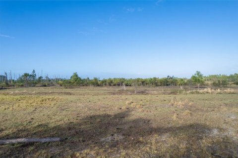 Terrain à vendre à Punta Gorda, Floride № 825966 - photo 12