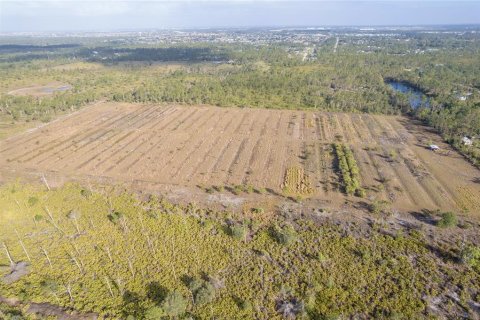 Terrain à vendre à Punta Gorda, Floride № 825966 - photo 21