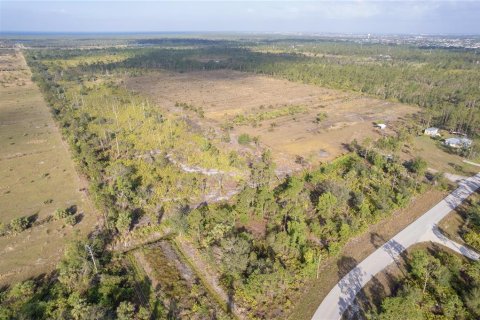 Terrain à vendre à Punta Gorda, Floride № 825966 - photo 18