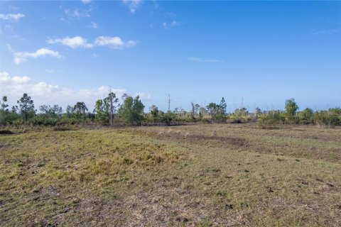 Terrain à vendre à Punta Gorda, Floride № 825966 - photo 14