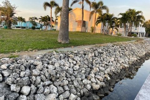 Terrain à vendre à Punta Gorda, Floride № 1016414 - photo 11