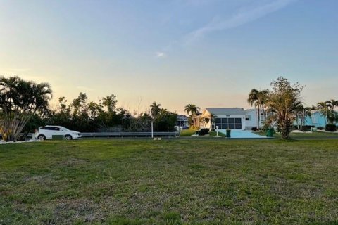 Terrain à vendre à Punta Gorda, Floride № 1016414 - photo 4