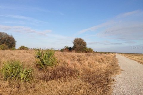 Terrain à vendre à Punta Gorda, Floride № 1105537 - photo 6