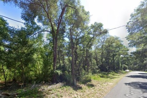 Terreno en venta en Inverness, Florida № 1433807 - foto 1