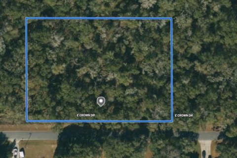 Terreno en venta en Inverness, Florida № 1433807 - foto 2