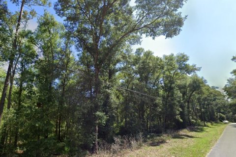 Terreno en venta en Inverness, Florida № 1433807 - foto 3