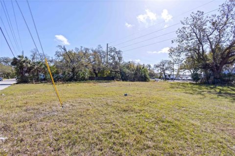 Terreno en venta en Bradenton, Florida № 311747 - foto 2