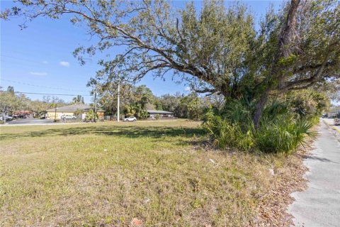 Terreno en venta en Bradenton, Florida № 311747 - foto 6