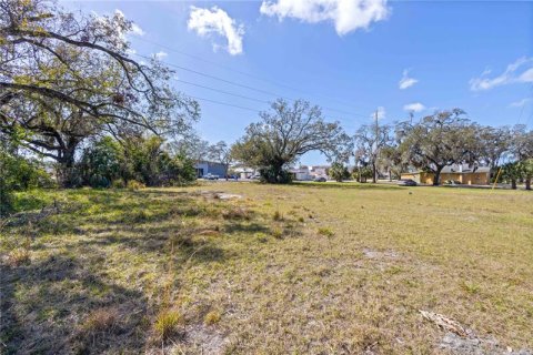 Terreno en venta en Bradenton, Florida № 311747 - foto 8