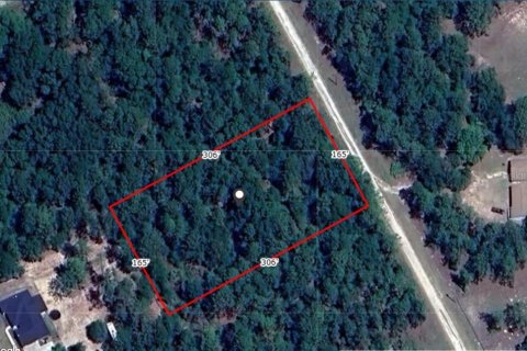 Terreno en venta en Ocala, Florida № 1430785 - foto 1