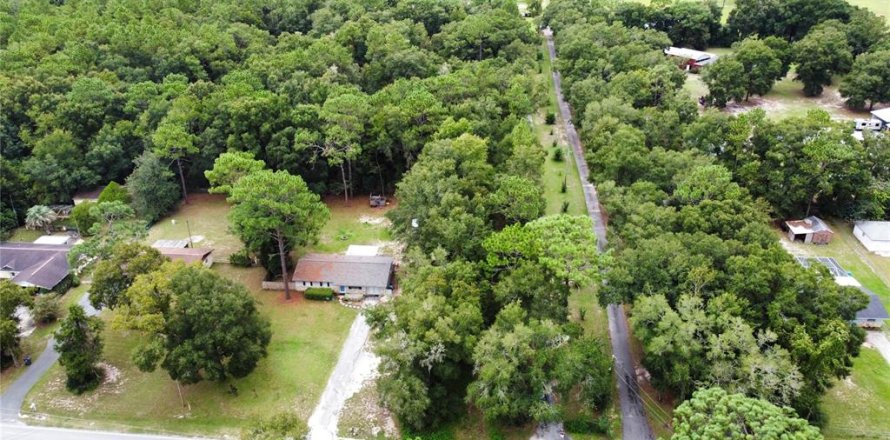 Terrain à Ocala, Floride № 1361865