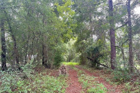 Terrain à vendre à Ocala, Floride № 1361865 - photo 3