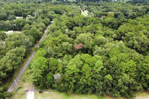 Terrain à vendre à Ocala, Floride № 1361865 - photo 6