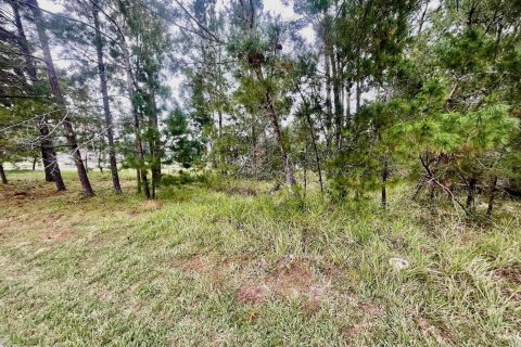 Terreno en venta en Saint Augustine, Florida № 847794 - foto 8