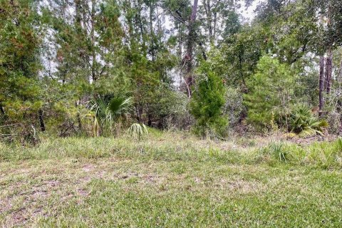 Terreno en venta en Saint Augustine, Florida № 847794 - foto 5