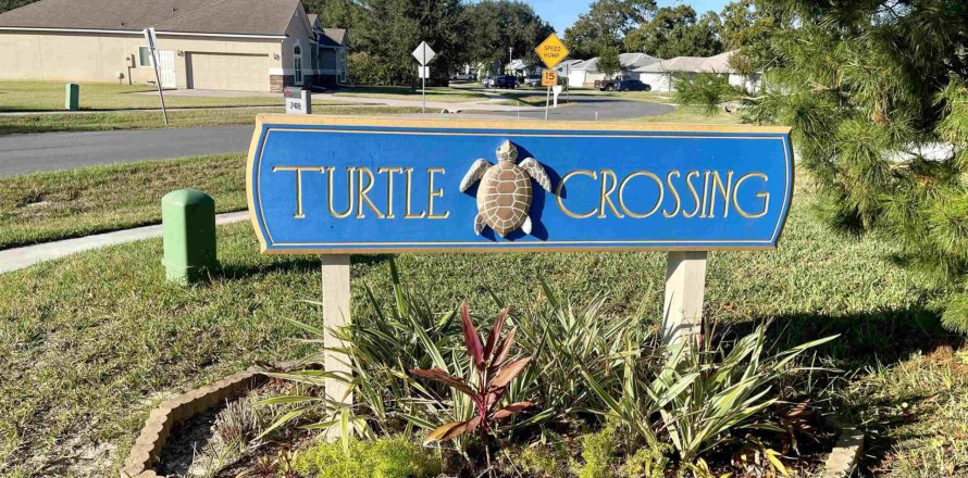 Terreno en Saint Augustine, Florida № 847794