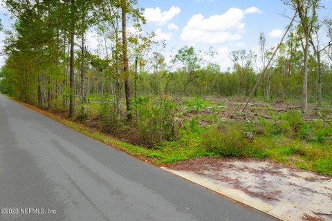 Land in Saint Augustine, Florida № 847841 - photo 15