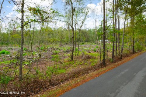 Land in Saint Augustine, Florida № 847841 - photo 13