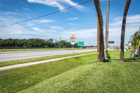 Immobilier commercial à vendre à Tampa, Floride: 100.33 m2 № 1297018 - photo 20