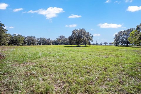 Terrain à vendre à Ocala, Floride № 1402290 - photo 6