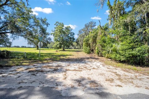 Terreno en venta en Ocala, Florida № 1402290 - foto 2