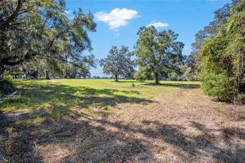 Terrain à vendre à Ocala, Floride № 1402290 - photo 3