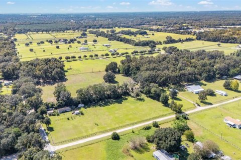 Land in Ocala, Florida № 1402290 - photo 7