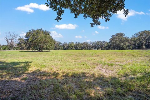 Terrain à vendre à Ocala, Floride № 1402290 - photo 5