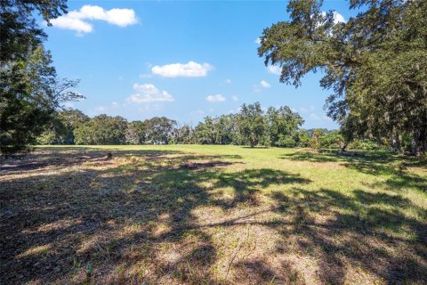 Terrain à vendre à Ocala, Floride № 1402290 - photo 4