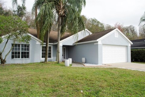 Villa ou maison à vendre à Lutz, Floride: 3 chambres, 146.97 m2 № 955238 - photo 2