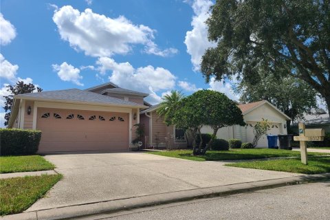 Villa ou maison à vendre à Tampa, Floride: 3 chambres, 187.94 m2 № 1382271 - photo 1