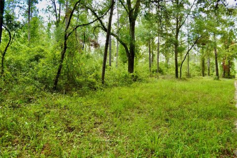 Land in White Springs, Florida № 1280442 - photo 1