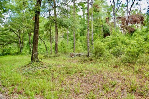 Terreno en venta en White Springs, Florida № 1280442 - foto 4