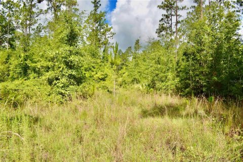 Terreno en venta en White Springs, Florida № 1280442 - foto 6