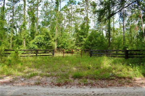 Terreno en venta en White Springs, Florida № 1280442 - foto 3